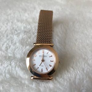Skagen Rose Gold Mesh Watch